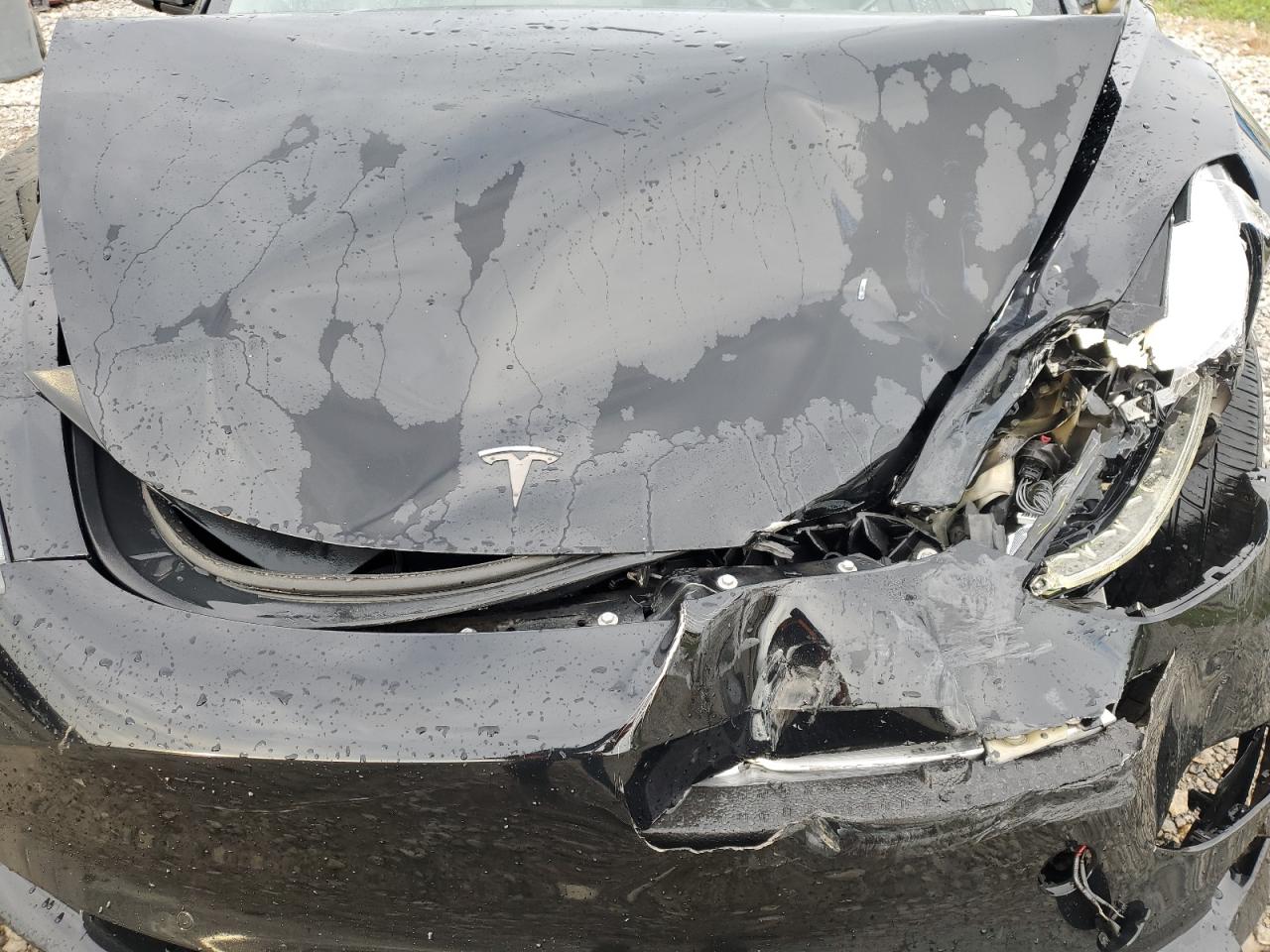 2022 TESLA MODEL 3  VIN:5YJ3E1EA0NF370248