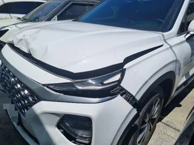 2019 Hyundai Santa FE KMHS281BDLU257047 VIN:KMHS281BDLU257047