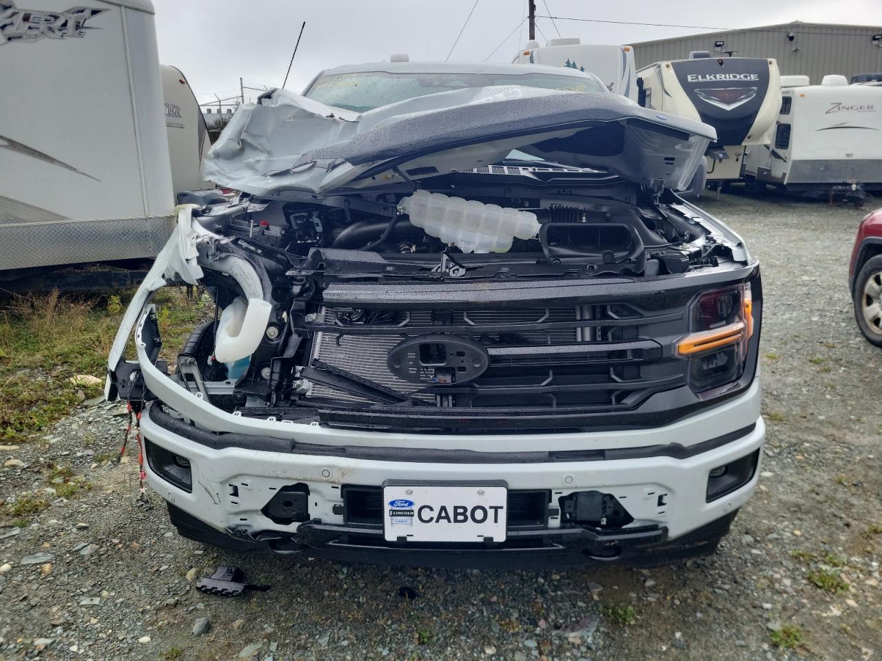 2024 FORD F150 XLT VIN:1FTFW3L84RFB56466