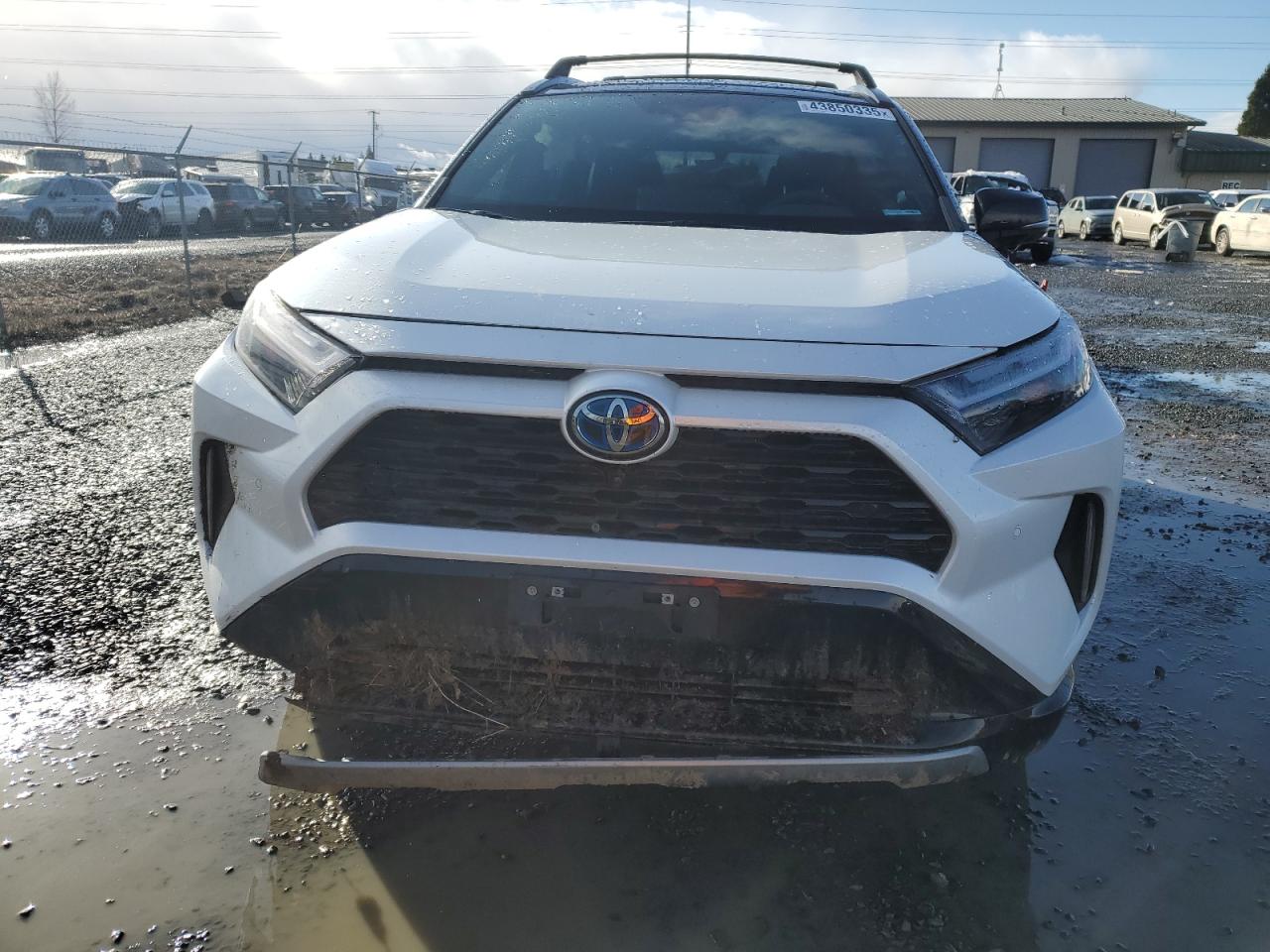 2023 TOYOTA RAV4 XSE VIN:4T3E6RFV5PU113900