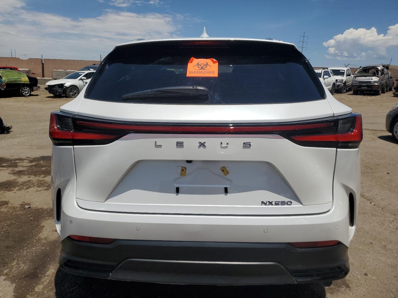 2024 LEXUS NX 250 PREMIUM VIN:WP0AA2A8XNS255297