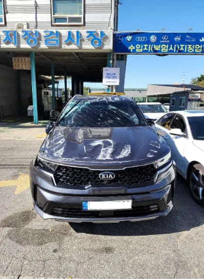 2021 Kia Sorento KNARK81GBMA014905 VIN:KNARK81GBMA014905
