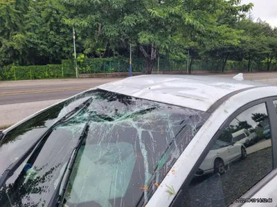 2020 Hyundai Kona KMHK4815GLU530389 VIN:KMHK4815GLU530389