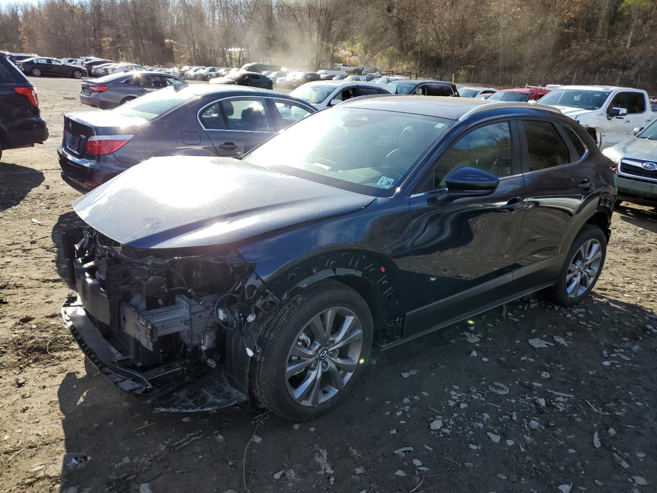 2024 MAZDA CX-30 PREFERRED VIN:3MVDMBCM7RM614052