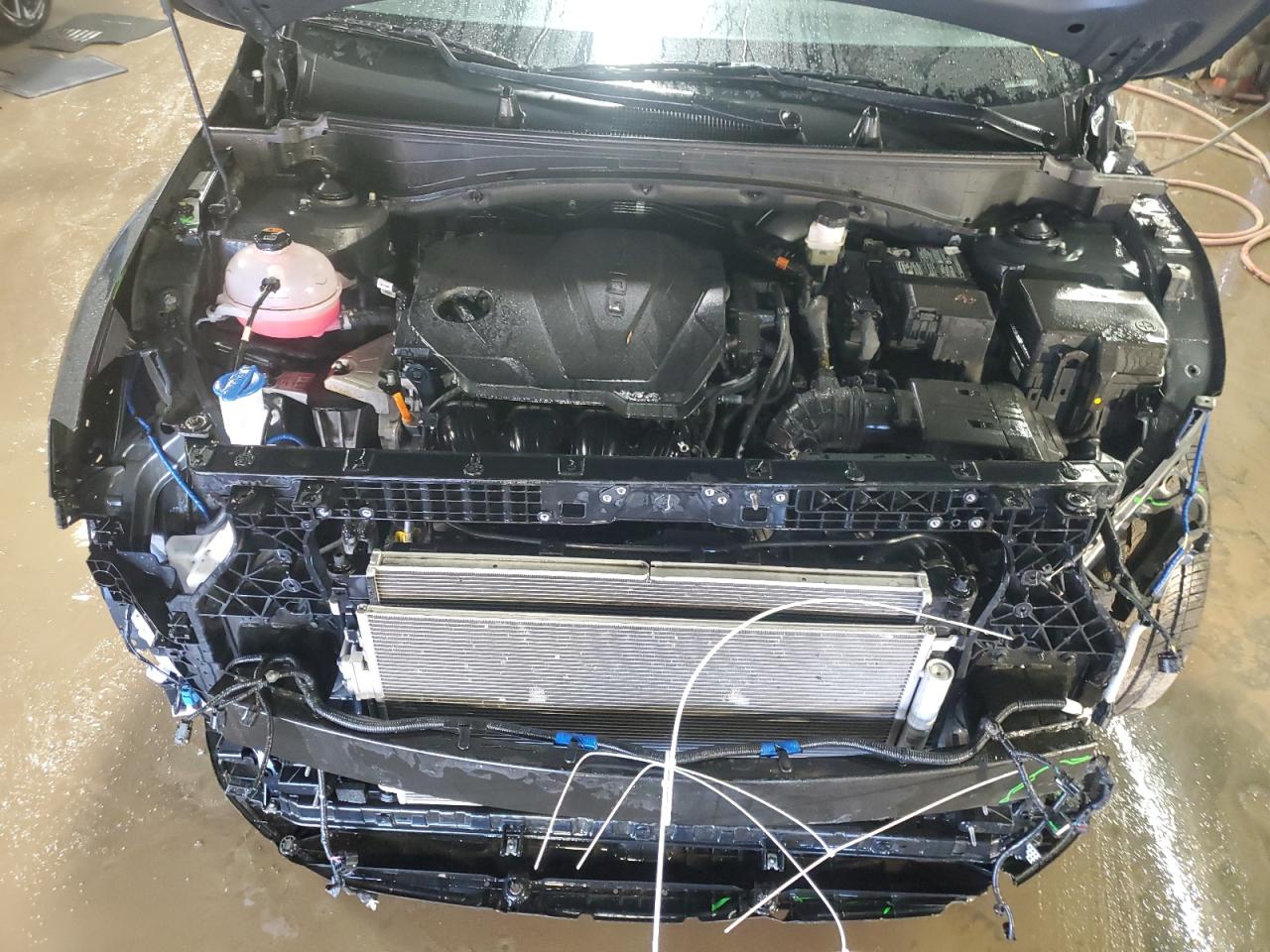 2023 KIA SPORTAGE EX VIN:5XYK33AF7PG124551