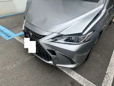 2022 Lexus ES 300 JTHBA1C14N2007480 VIN:JTHBA1C14N2007480