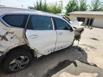 2021 Hyundai Santa FE KMHS381HGMU344096 VIN:KMHS381HGMU344096