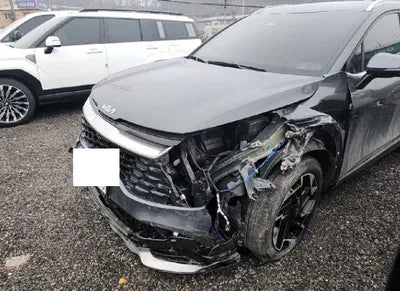 2023 Kia Sportage KNAPV81BGPK126724 VIN:KNAPV81BGPK126724