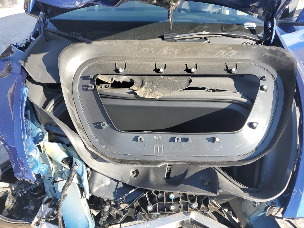2023 TESLA MODEL Y  VIN:7SAYGDEE4PA154894