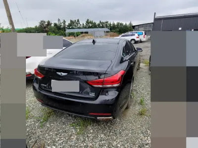 2015 acupuncture nessis 3.3 VIN: