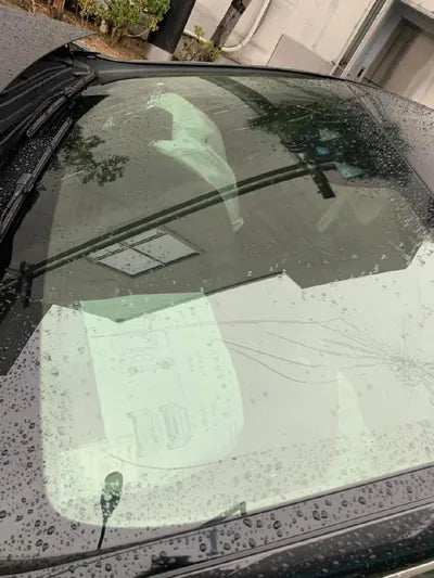 2020 Mercedes-Benz CLS 300 WDD2J1JB1LA053032 VIN:WDD2J1JB1LA053032