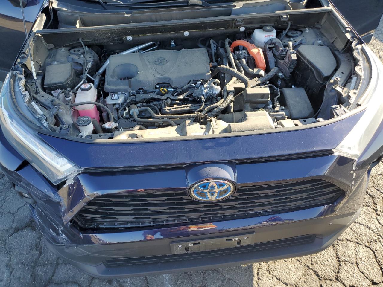 2024 TOYOTA RAV4 XLE PREMIUM VIN:JTMB6RFV6RD126514