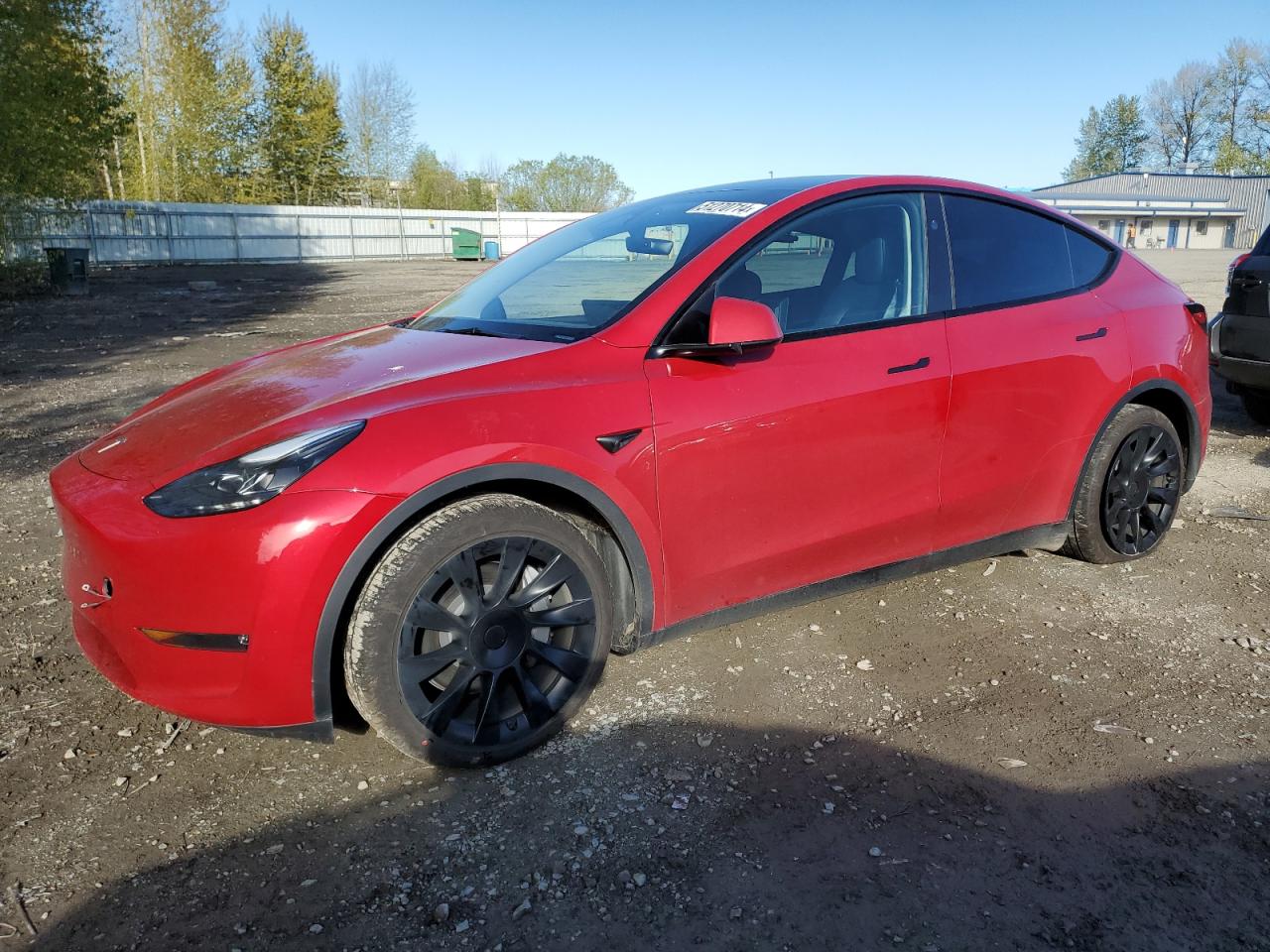 2023 TESLA MODEL Y  VIN:7SAYGAEE4PF871278