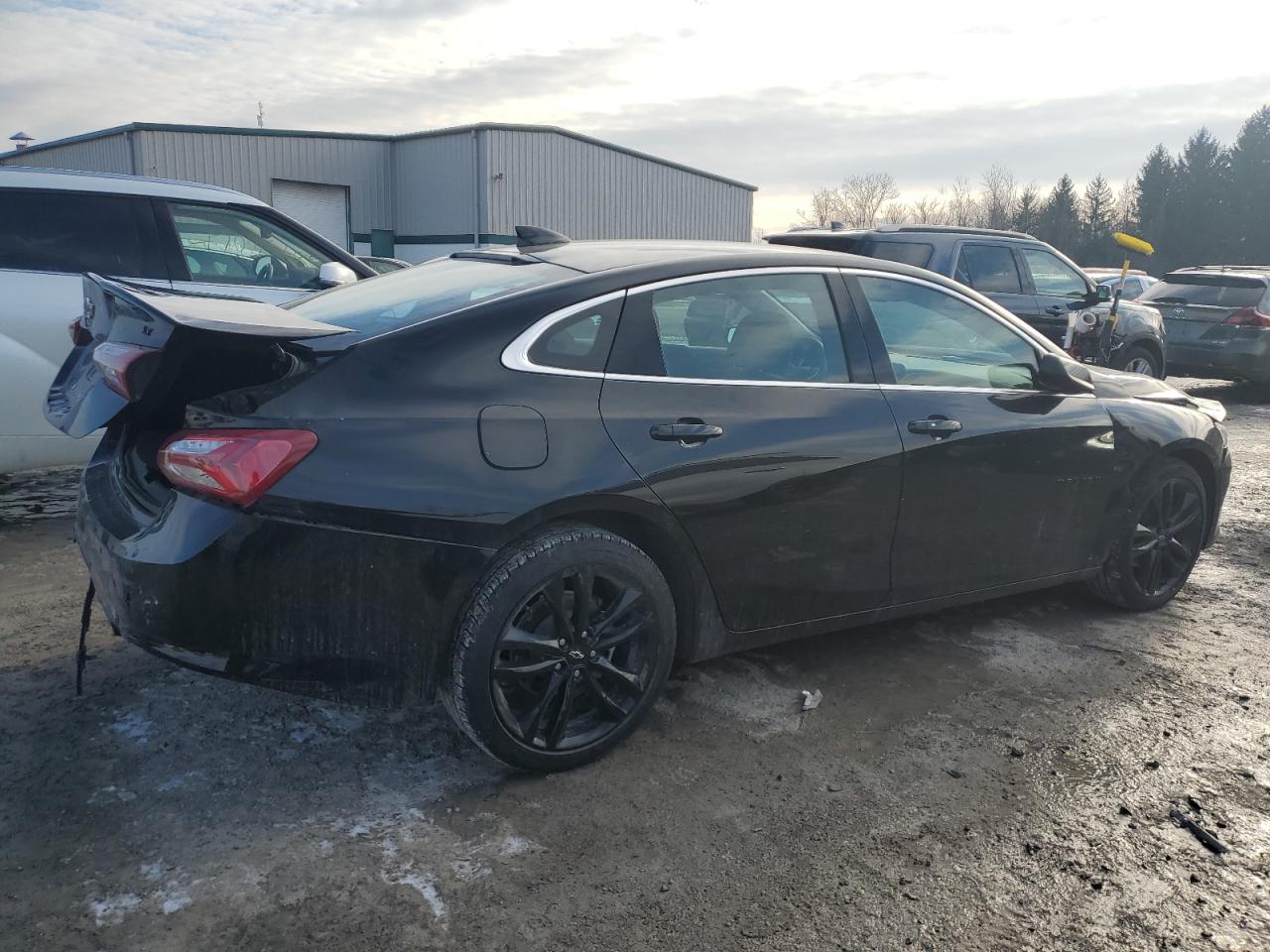 2024 CHEVROLET MALIBU LT VIN:1G1ZD5ST5RF223072