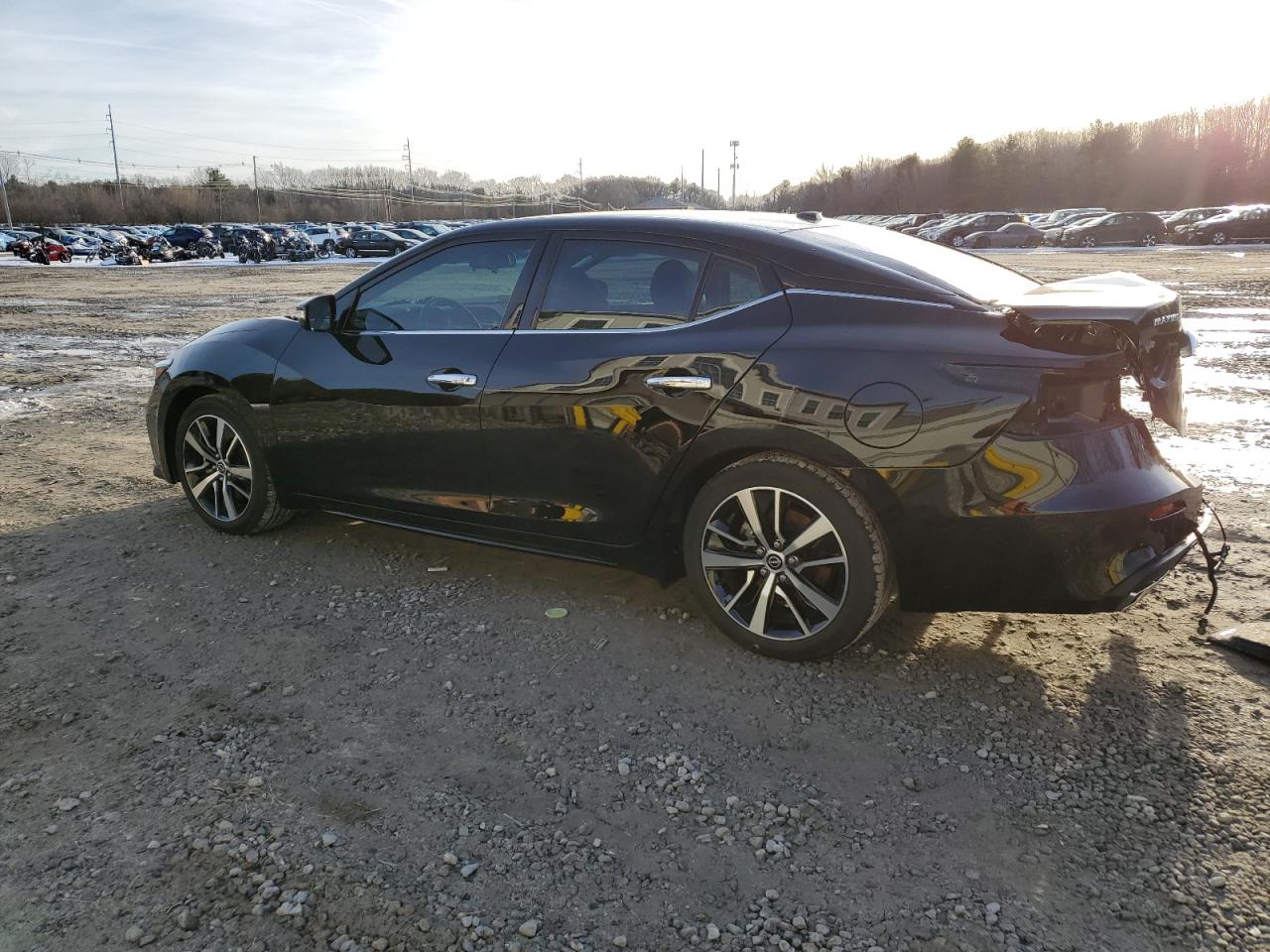 2023 NISSAN MAXIMA SV VIN:1N4AA6CV8PC506962