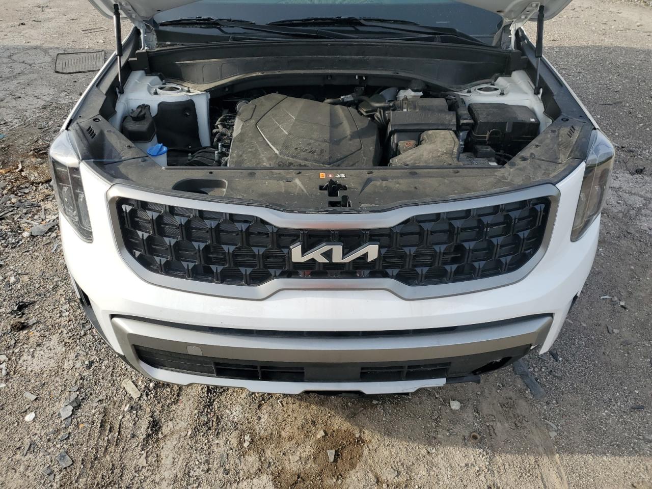 2023 KIA TELLURIDE EX VIN:5XYP3DGC2PG346391
