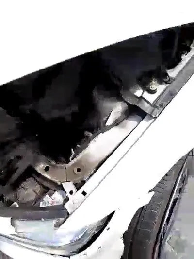 2015 BMW 420 WBA3P3106FK270983 VIN:WBA3P3106FK270983