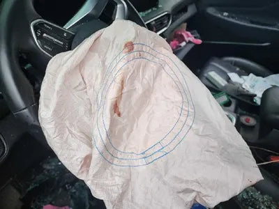 2019 Hyundai Santa FE 2KMHS381BBKU07648 VIN:2KMHS381BBKU07648