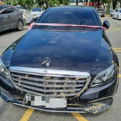 2020 Mercedes-Benz E 220 VIN: