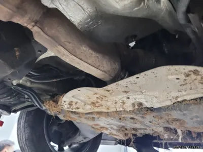 2021 Kia Carnival KNANE81BBMS045544 VIN:KNANE81BBMS045544