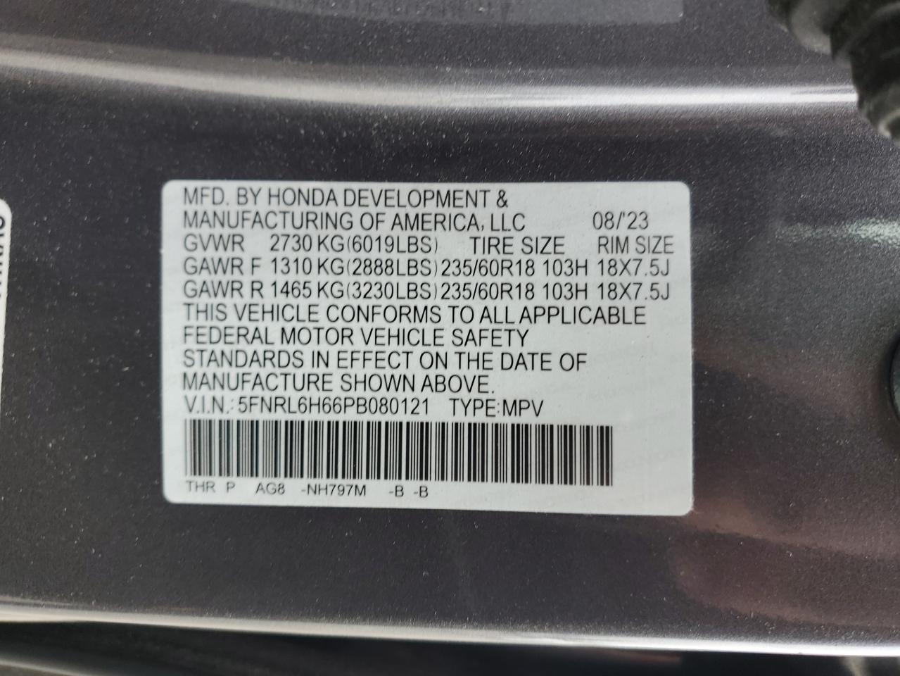 2023 HONDA ODYSSEY EXL VIN:5FNRL6H66PB080121