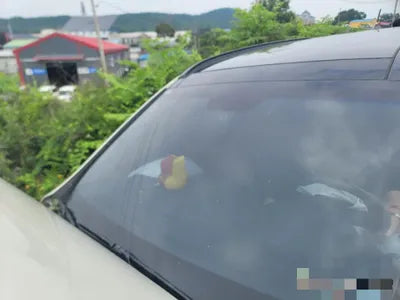 2015 Hyundai Santa FE 192KMKMHSW81UBFU4 VIN:192KMKMHSW81UBFU4
