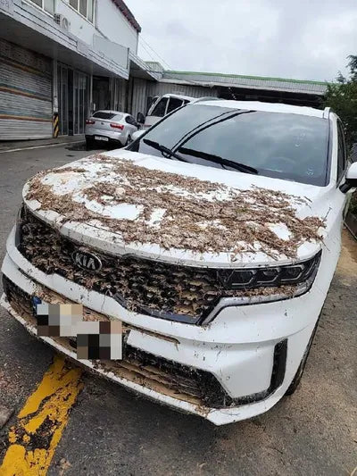 2021 Kia Sorento VIN: