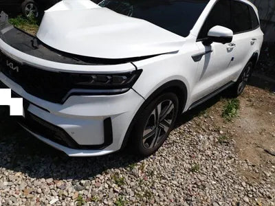 2023 Kia Sorento SALCA2BN3HH706139 VIN:SALCA2BN3HH706139