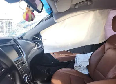 2018 Hyundai Santa FE KMHSW81UBJU801350 VIN:KMHSW81UBJU801350