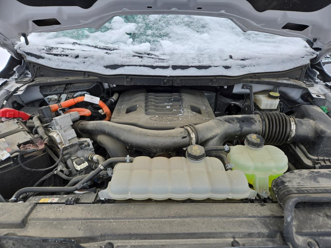 2023 FORD F150 SUPERCREW VIN:1FTFW1ED5PFA74211