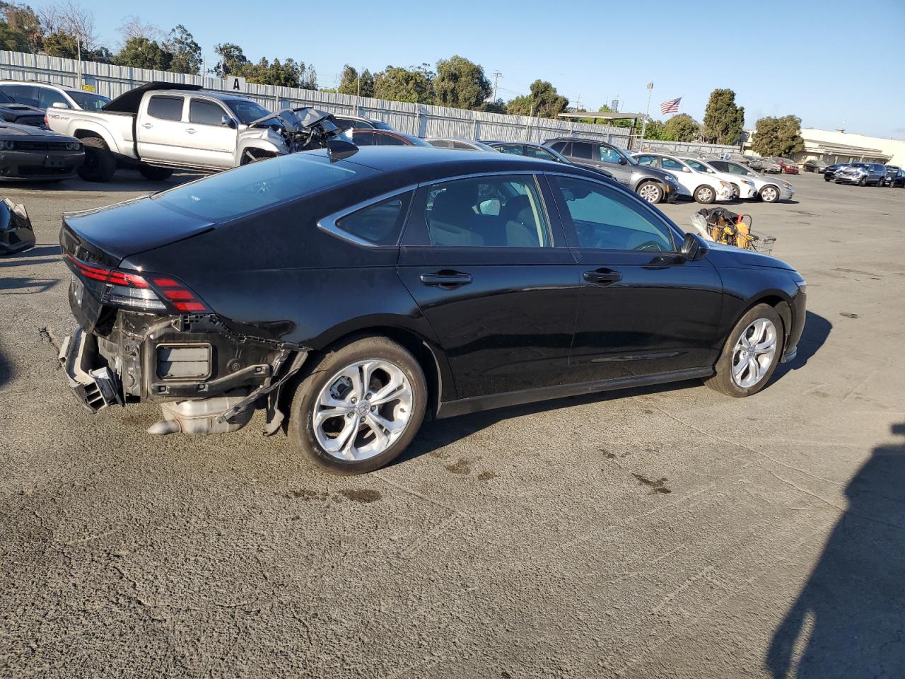 2024 HONDA ACCORD LX VIN:1HGCY1F23RA036651