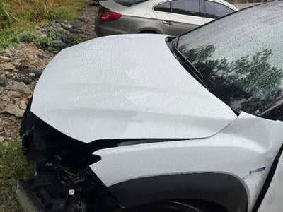 2019 Hyundai Kona KMHK381GFKU059032 VIN:KMHK381GFKU059032