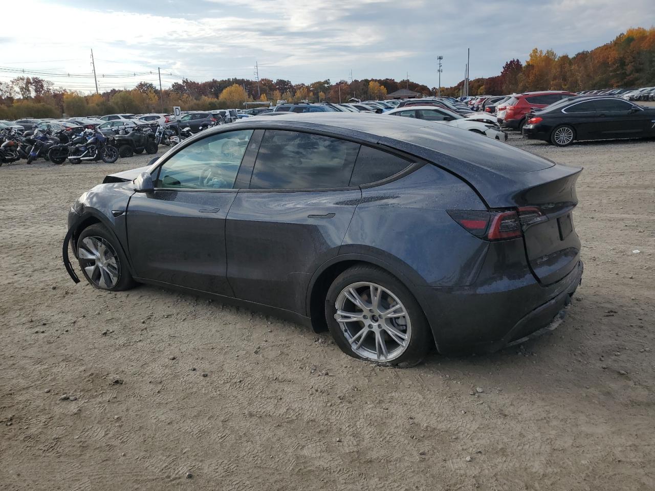 2024 TESLA MODEL Y  VIN:7SAYGDEE1RA253742