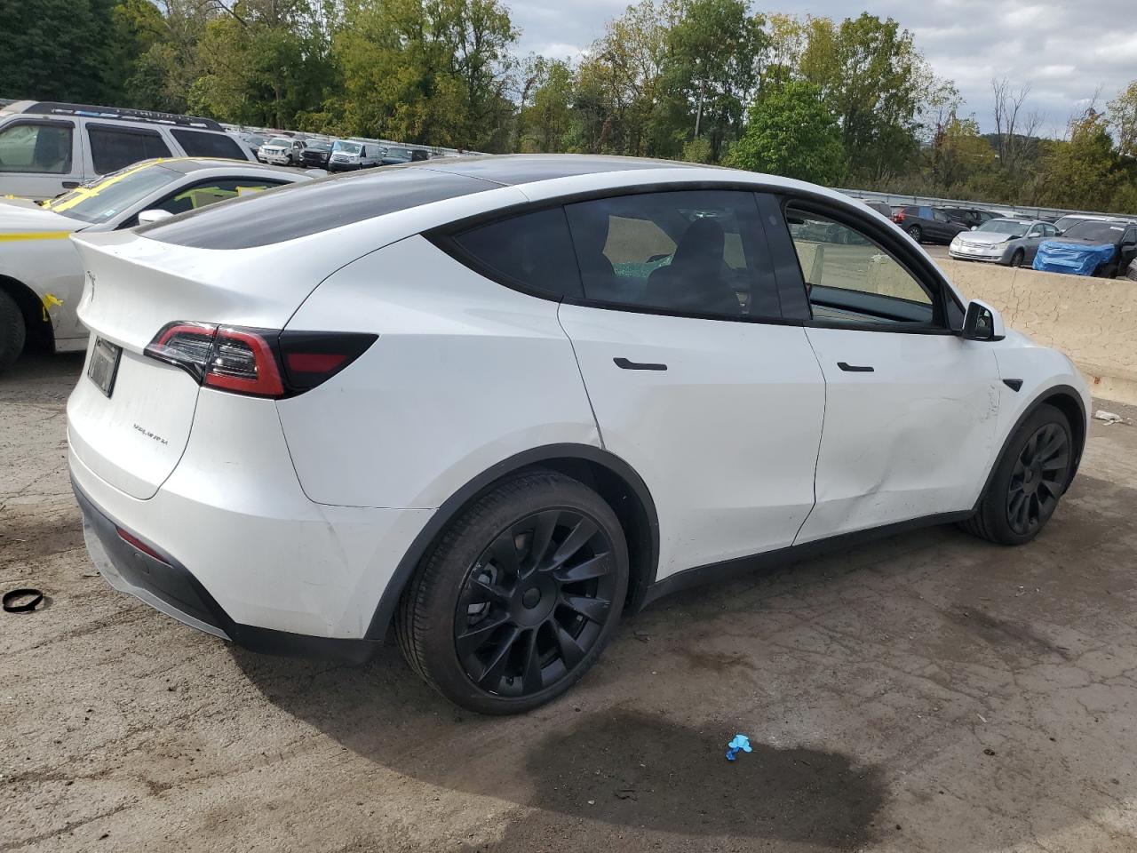 2023 TESLA MODEL Y  VIN:7SAYGDEE8PA057536