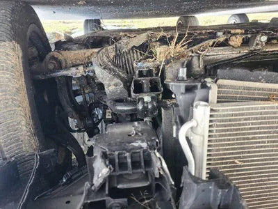 2019 Genesis G90 KMHG241DDKU066274 VIN:KMHG241DDKU066274