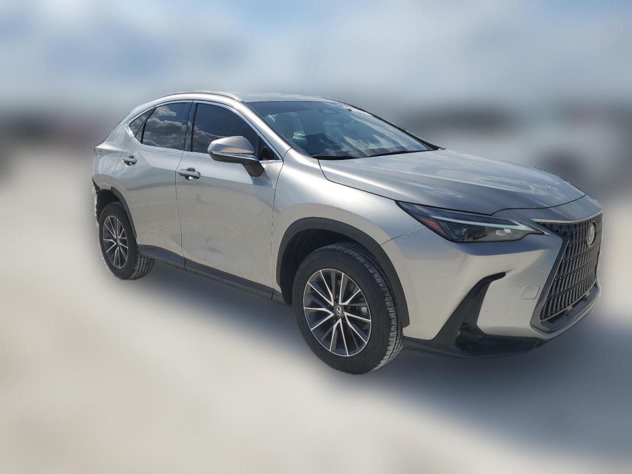 2024 LEXUS NX 250 BASE VIN:2T2ADCAZ5RC009007