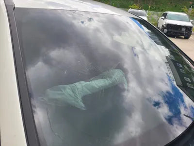 2021 Mercedes-Benz A 220 W1K3G4EB6MJ279244 VIN:W1K3G4EB6MJ279244