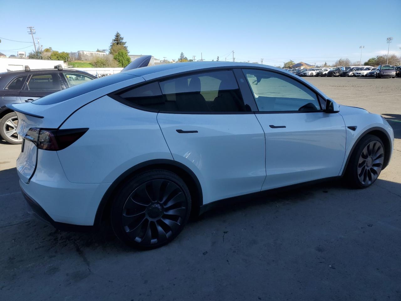 2024 TESLA MODEL Y  VIN:7SAYGDEFXRF117959