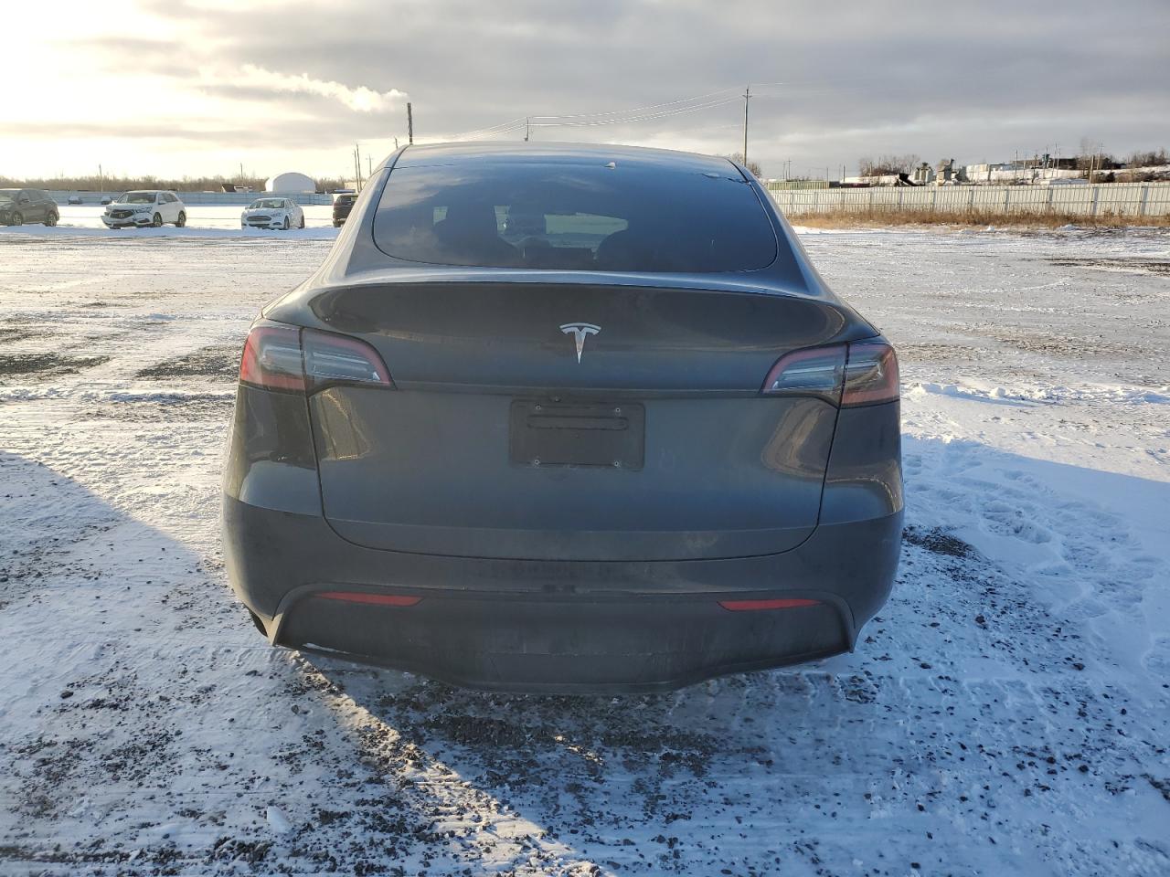 2024 TESLA MODEL Y  VIN:7SAYGDED5RF016181