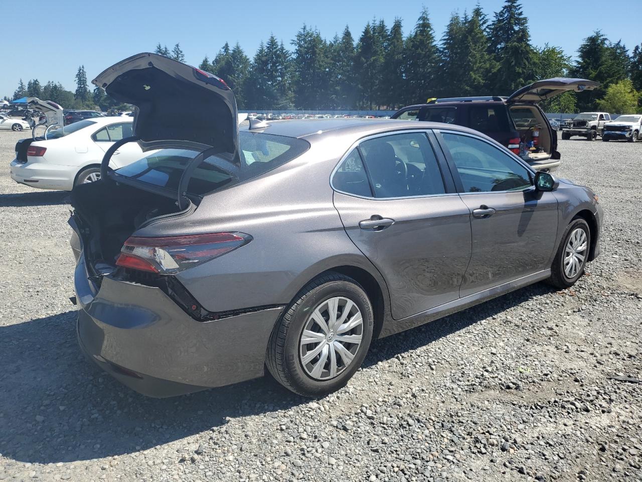 2022 TOYOTA CAMRY LE VIN:4T1C31AKXNU589645