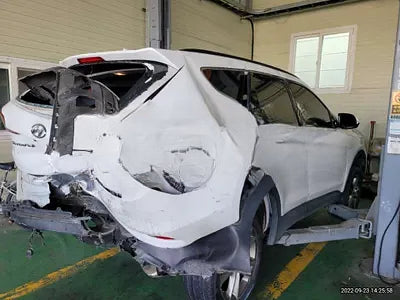 2016 Hyundai Santa FE KMHSW81UBGU640272 VIN:KMHSW81UBGU640272