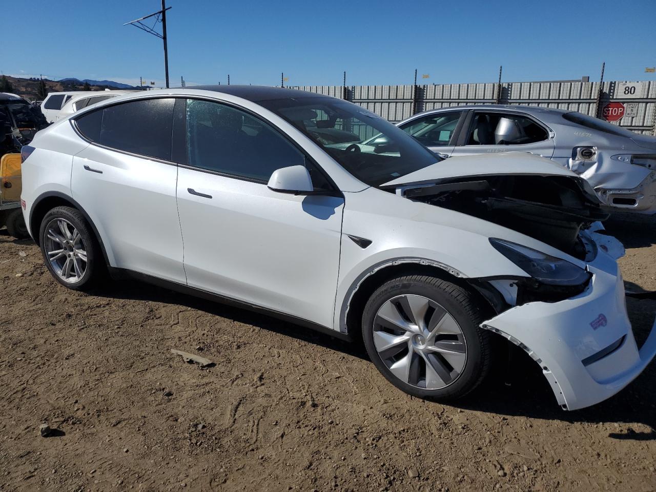 2024 TESLA MODEL Y  VIN:7SAYGDEE8RA263734