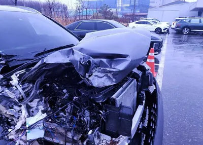 2021 Hyundai Santa FE KMHS381HGMU343713 VIN:KMHS381HGMU343713