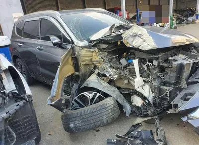 2018 Hyundai Santa FE KMHS381BBKU046289 VIN:KMHS381BBKU046289