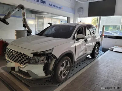 2021 Hyundai Santa FE KMHS281HGMU344697 VIN:KMHS281HGMU344697