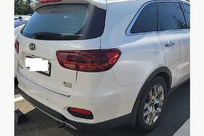 2020 Kia Sorento KNAPK81BDLA584069 VIN:KNAPK81BDLA584069