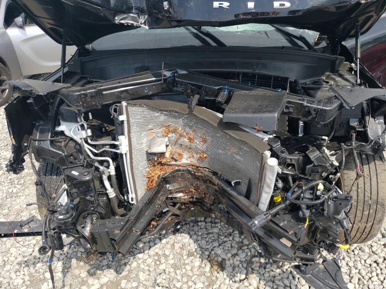 2022 KIA TELLURIDE S VIN:5XYP64HC9NG299296