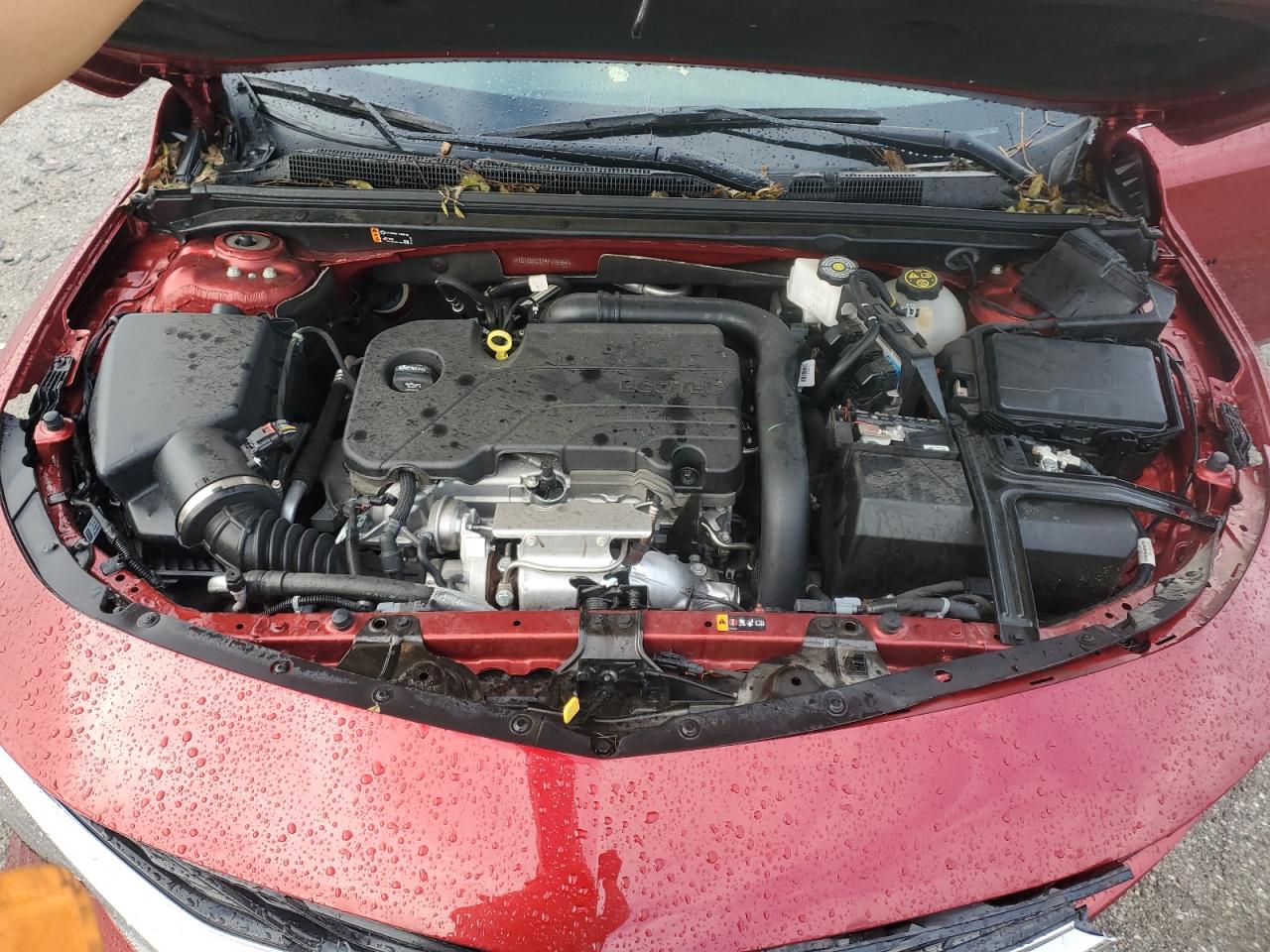 2024 CHEVROLET MALIBU RS VIN:1G1ZG5ST7RF116354