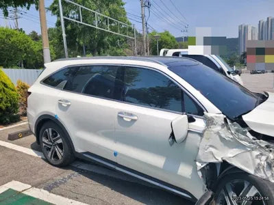 2021 Kia Sorento KNARK81GBMA031286 VIN:KNARK81GBMA031286