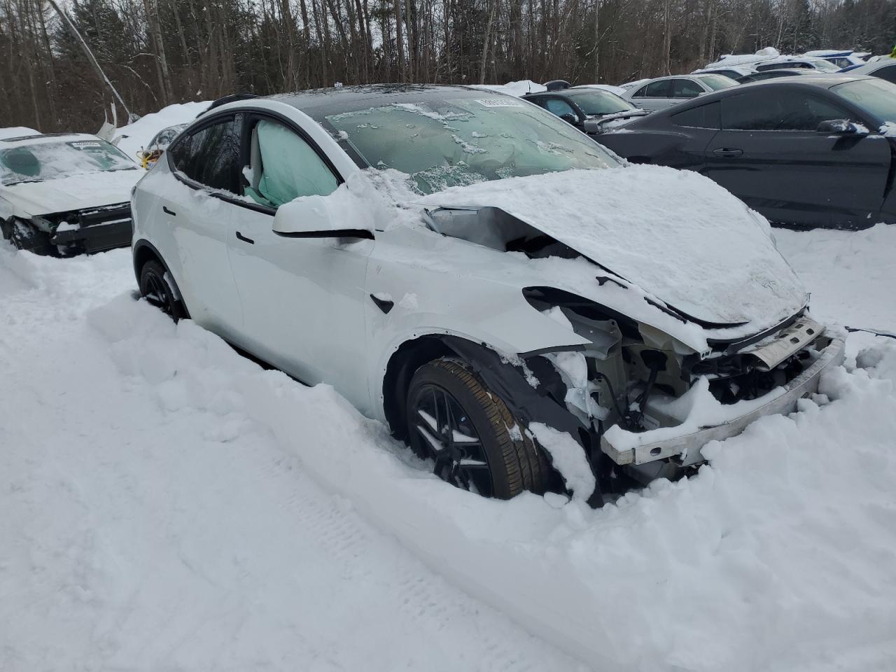 2024 TESLA MODEL Y  VIN:LRWYGDFD4RC662513